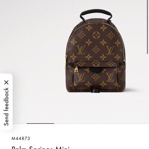 Louis Vuitton Palm Springs Mini Backpack